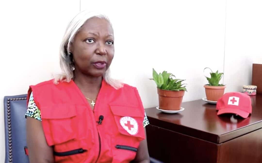 Transformational leadership is pivotal for the survival of the National Societies